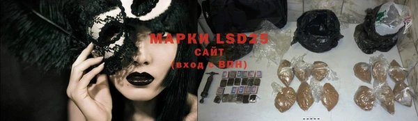 ПСИЛОЦИБИНОВЫЕ ГРИБЫ Алзамай