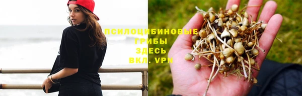 а пвп мука Алексин