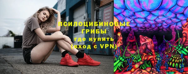 ПСИЛОЦИБИНОВЫЕ ГРИБЫ Алзамай