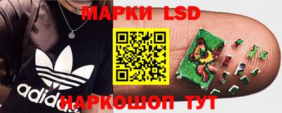 стафф Добрянка