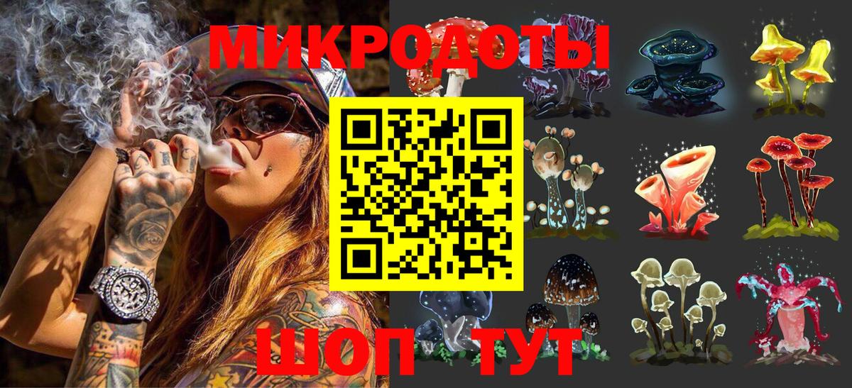 Заинск  Галлюциногенные грибы Psilocybine cubensis  Вход с VPN 